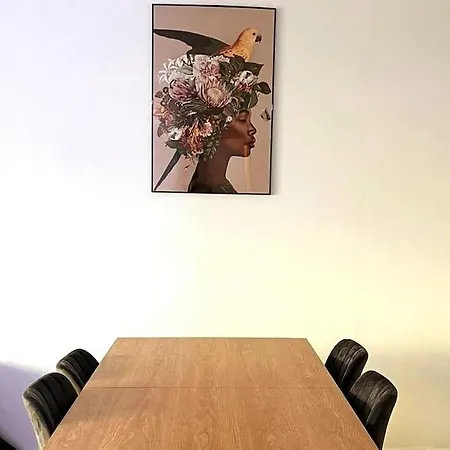 公寓 Moderne Am Rhein 科布倫茨