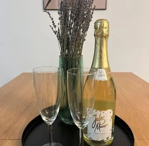 Apartment Moderne Am Rhein *